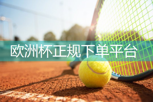 星空公司：乒乓球台子室内专业