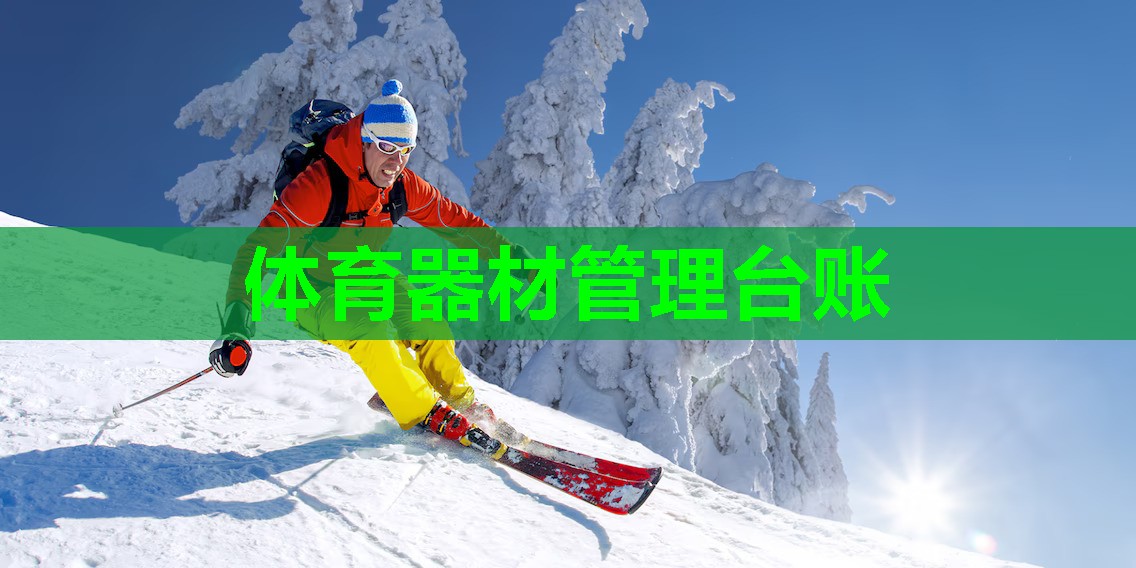 体育器材管理台账