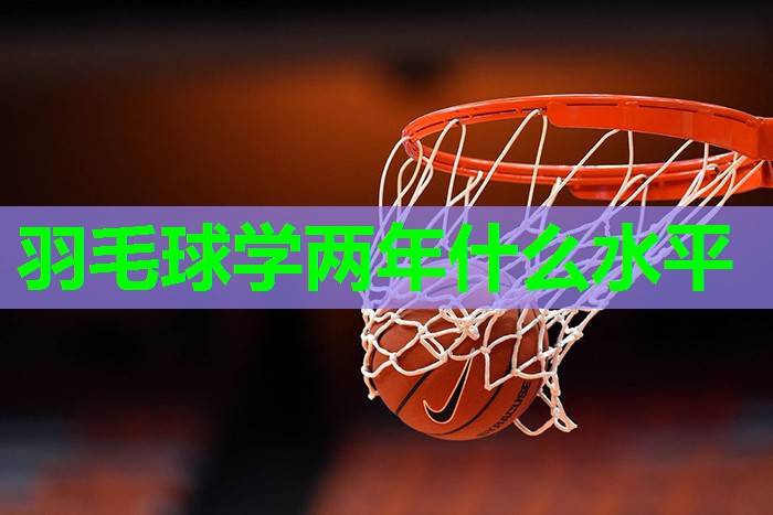 羽毛球学两年什么水平