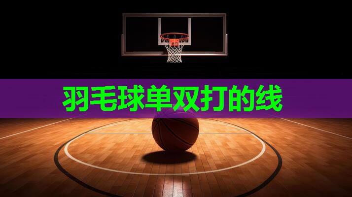 羽毛球单双打的线
