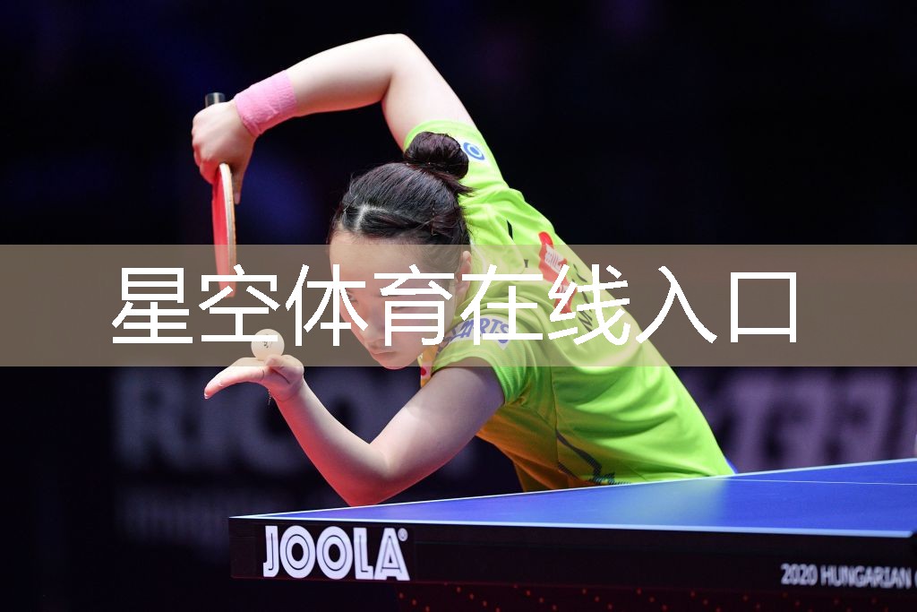 乒乓球台的桌子叫什么