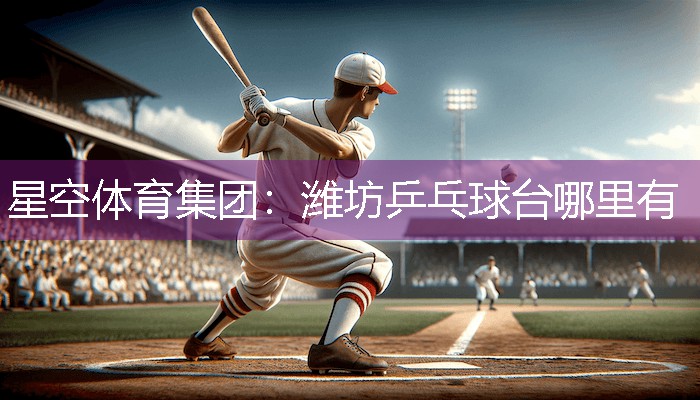 潍坊乒乓球台哪里有