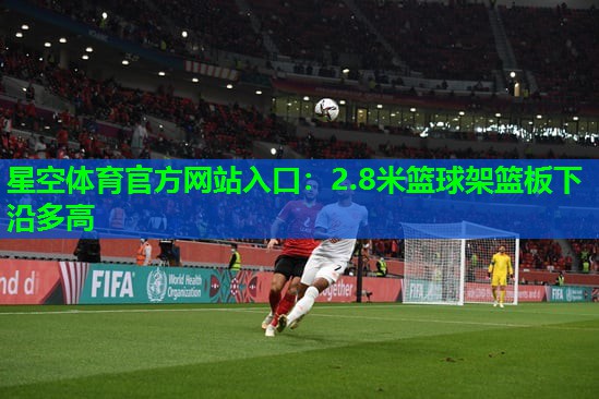 2.8米篮球架篮板下沿多高