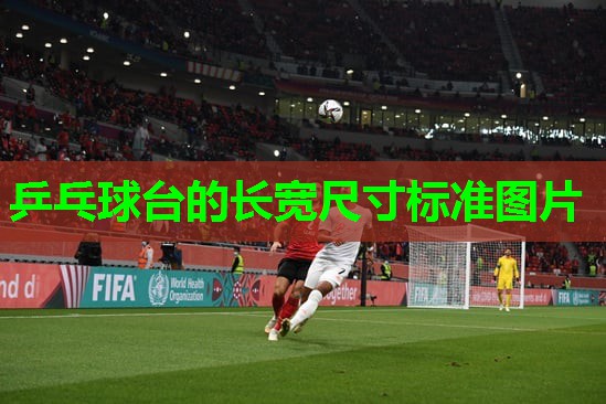 乒乓球台的长宽尺寸标准图片