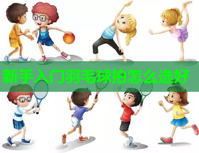 新手入门羽毛球拍怎么选好