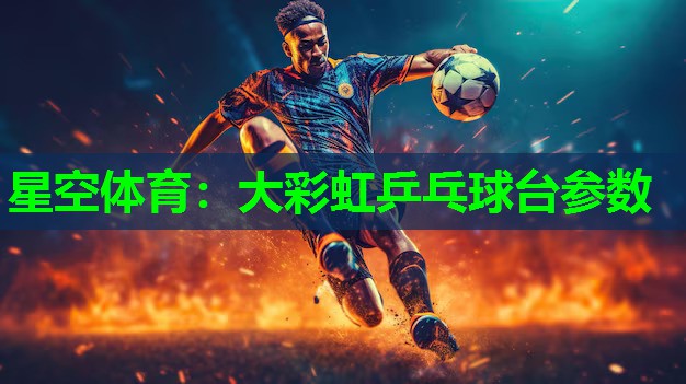 大彩虹乒乓球台参数