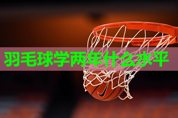 羽毛球学两年什么水平