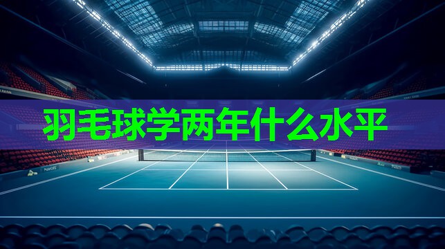 羽毛球学两年什么水平