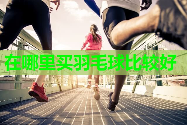 在哪里买羽毛球比较好